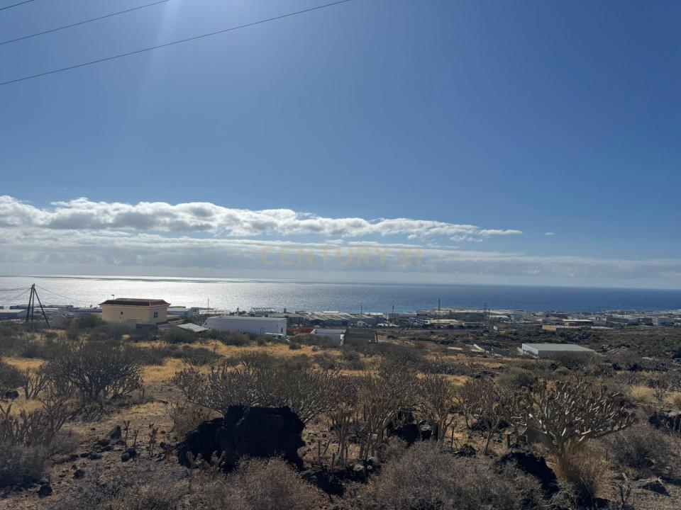 聖克魯斯-德特內里費, Canarias 38530, 西班牙