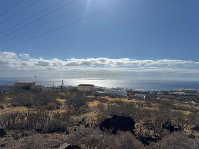 聖克魯斯-德特內里費, Canarias 38530, 西班牙