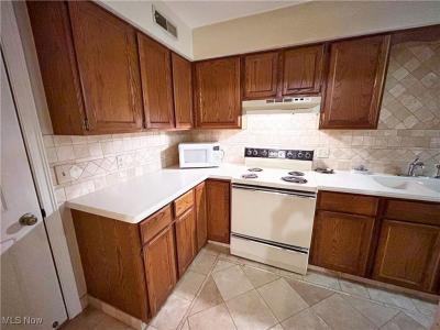 866 Hanover Court, Akron, Ohio 44313, Estados Unidos
