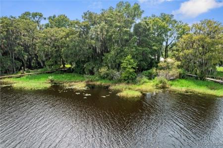 6694 S Merleing Loop, Floral City, Florida 34436