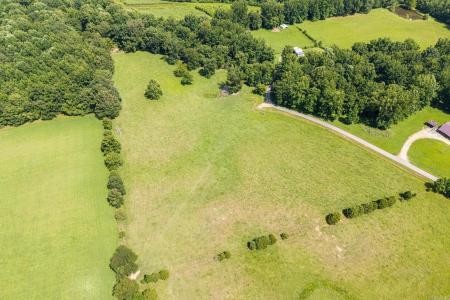 9.22 Acres Eagle, Lafe, Arkansas 72436