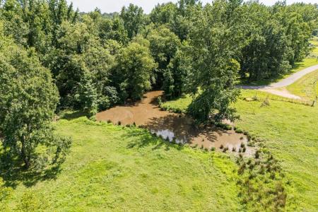 9.22 Acres Eagle, Lafe, Arkansas 72436