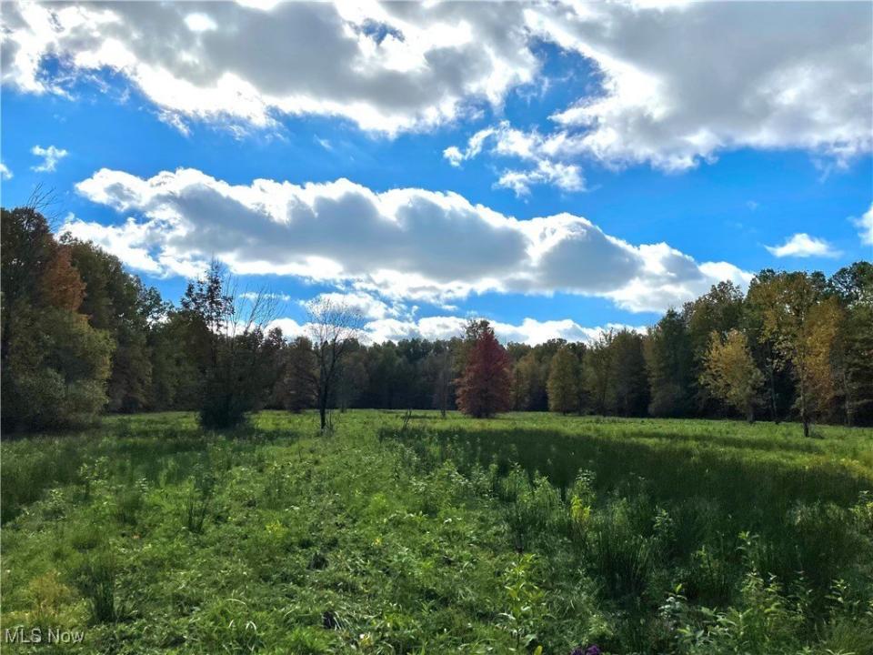 VL Parsons Road, Grafton, Ohio 44044