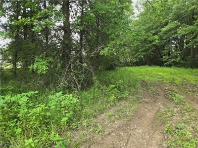VL Parsons Road, Grafton, Ohio 44044