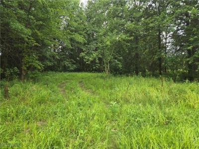 VL Parsons Road, Grafton, Ohio 44044
