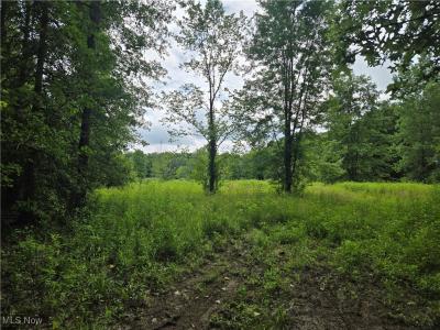 VL Parsons Road, Grafton, Ohio 44044
