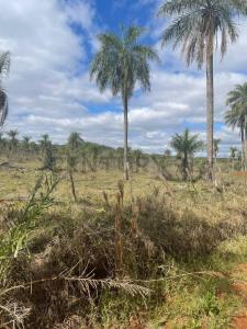 Cesar Barriento Ybucui , Ybycuí, Paraguarí 00001, Paraguay