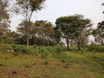 COLONIA BLAS GARAY , Coronel Oviedo, Caaguazú 00001, Paraguay