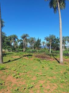 matiauda , San Bernardino, Cordillera 00001, Paraguai