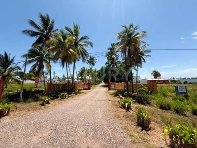 BLVD. CUATRO SURCOS S/N,, Escuinapa, Sinaloa 82560, México