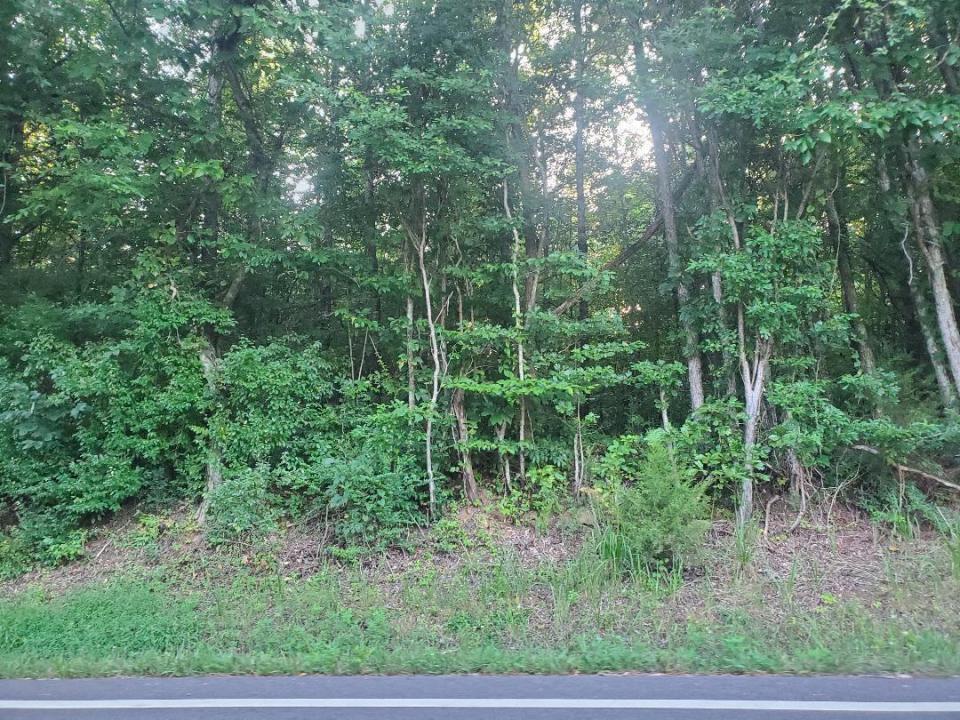 Lot 9 Highway 304, Decatur, Tennessee 37322, Amerika Birleşik Devletleri