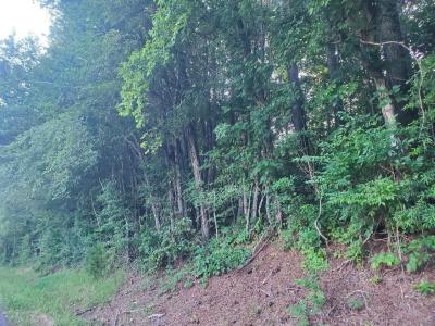 Lot 9 Highway 304, Decatur, Tennessee 37322, Amerika Birleşik Devletleri