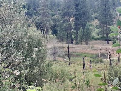 3979 Yellow Wood Road, Oroville, California 95965, Stati Uniti