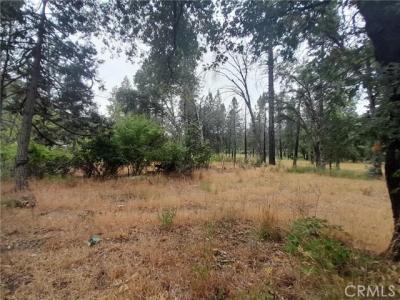 3979 Yellow Wood Road, Oroville, California 95965, Stati Uniti