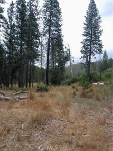 3979 Yellow Wood Road, Oroville, California 95965, USA