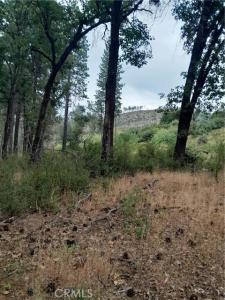 3979 Yellow Wood Road, Oroville, California 95965, Stati Uniti