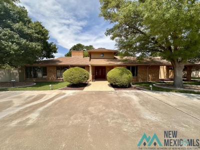 3100 N Montana Avenue, Roswell, NM 88201, USA
