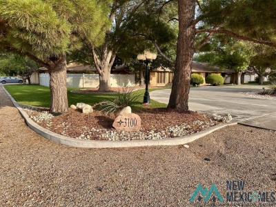 3100 N Montana Avenue, Roswell, NM 88201, USA