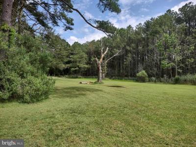 3175 Boone Rd, Crisfield, Maryland 21817, Estados Unidos