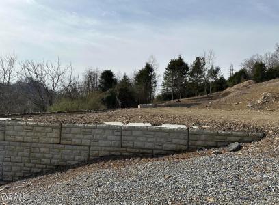 3540 Highway 75, Kingsport, 田納西州 37663, 美國