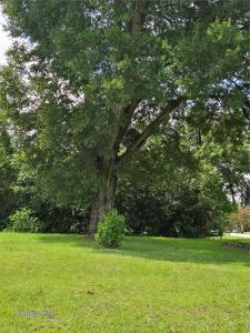 2100 NE 54th Street, Ocala, Floryda 34479, USA