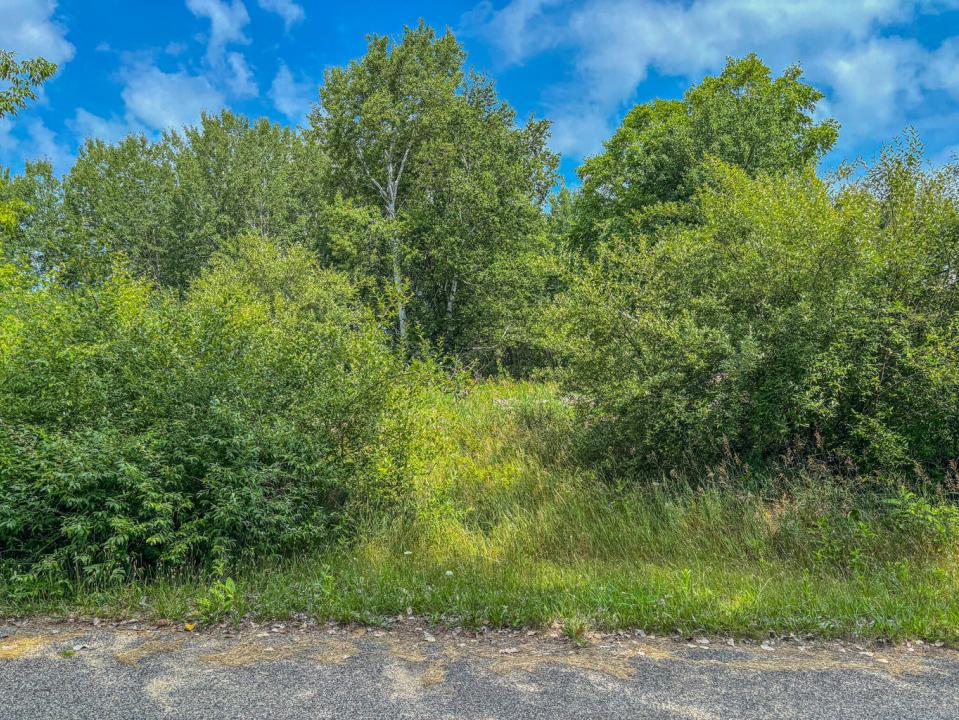 11580 Tanglewood Trail S. #24, Canadian Lakes, Michigan 49346, États-Unis