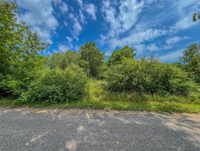 11580 Tanglewood Trail S. #24, Canadian Lakes, Michigan 49346, États-Unis