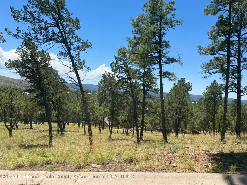 111 Topside Drive, Ruidoso, Novo México 88345, Estados Unidos