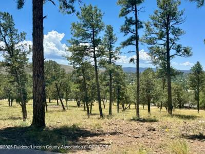 111 Topside Drive, Ruidoso, Novo México 88345, Estados Unidos