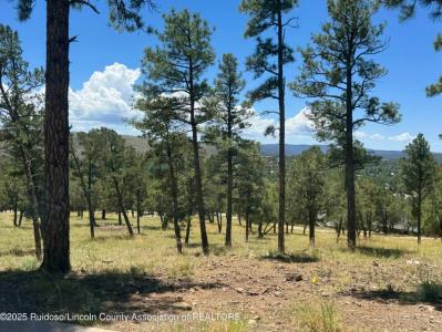 111 Topside Drive, Ruidoso, Novo México 88345, Estados Unidos