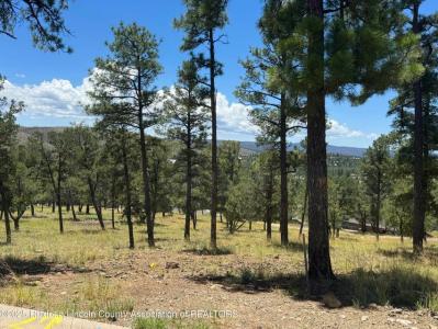 111 Topside Drive, Ruidoso, Novo México 88345, Estados Unidos