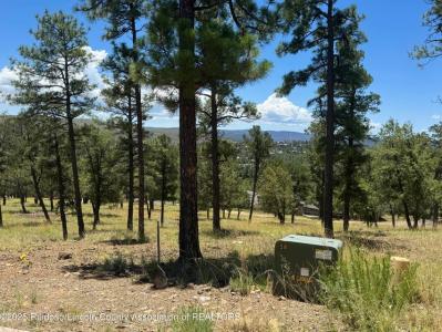 111 Topside Drive, Ruidoso, Novo México 88345, Estados Unidos