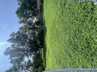 TBD Adams St, Litchfield, Illinois 62056, USA