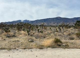 0 Mono, Pinon Hills, California 92372, USA