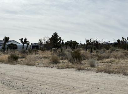 0 Mono, Pinon Hills, Kalifornien 92372, USA