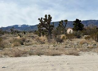 0 Mono, Pinon Hills, Kalifornien 92372, USA