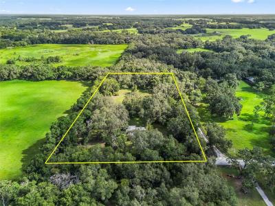 722 CR 312, Bushnell, Florida 33513, Amerika Birleşik Devletleri