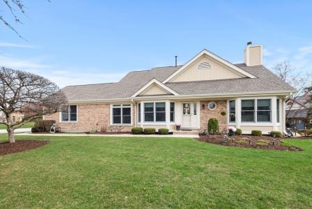 10709 Hollow Tree Road, Orland Park, Illinois 60462, USA