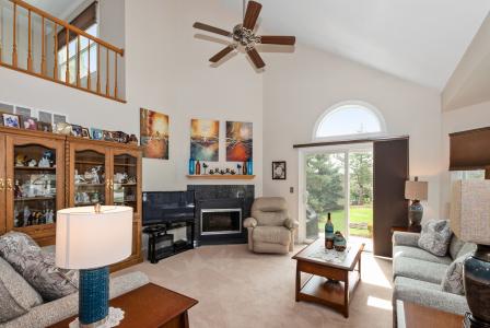 10709 Hollow Tree Road, Orland Park, 伊利诺斯州 60462, 美国