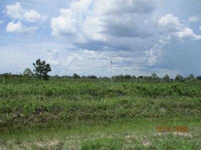 17771 NW 302nd Street, Okeechobee, Floride 34972, États-Unis