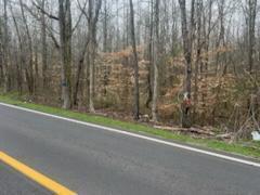 Lot 17 Highway 304, Decatur, Tennessee 37322, USA