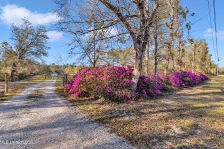 2855 Firetower Road, Kiln, Mississippi 39556, Estados Unidos