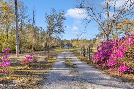 2855 Firetower Road, Kiln, Mississippi 39556, Estados Unidos