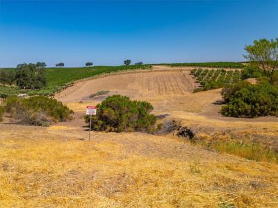 5035 Stagg Hill Place, Paso Robles, Californie 93446, États-Unis