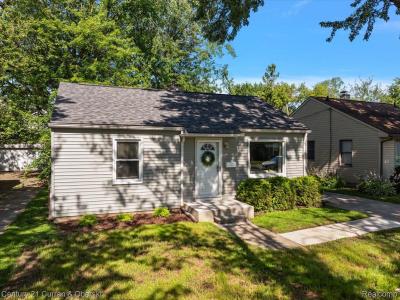 3221 Goodrich Street, Ferndale, Michigan 48220, USA