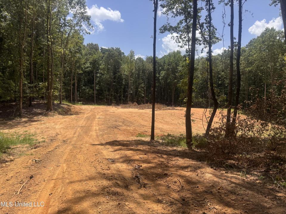 25 Leonard Lane, Holly Springs, Mississippi 38635