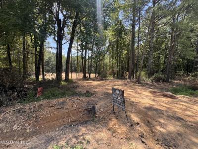 25 Leonard Lane, Holly Springs, Mississippi 38635