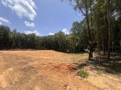 25 Leonard Lane, Holly Springs, Mississippi 38635