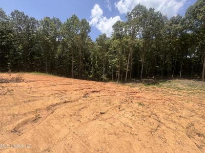 25 Leonard Lane, Holly Springs, Mississippi 38635