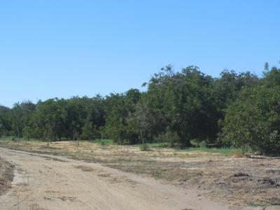 2183 Larkin Road, Biggs, Califórnia 95917, Estados Unidos